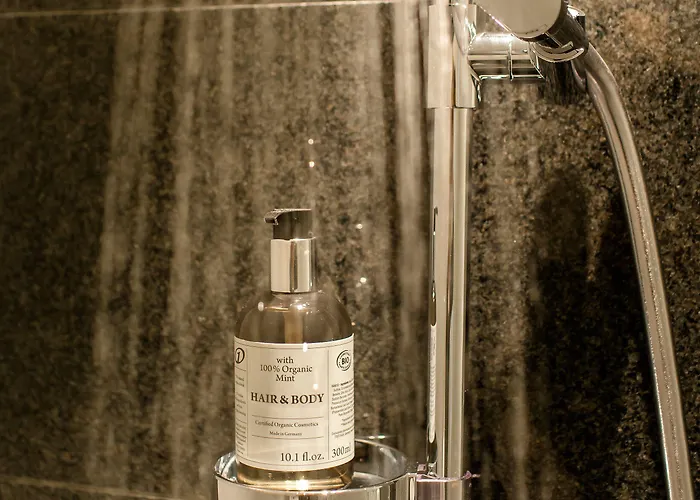 One Bonn-beethoven Bonn