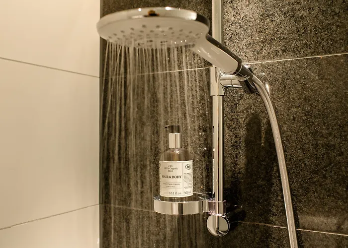 One Bonn-beethoven 3* Bona